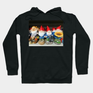 Garden Gnomes Hoodie